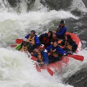 Meet your Posher, Mick